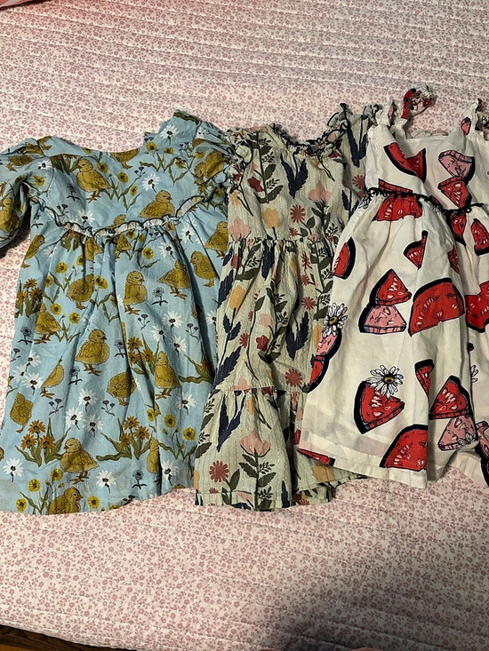 Pink Chicken Other - Pink Chicken Lot 5y